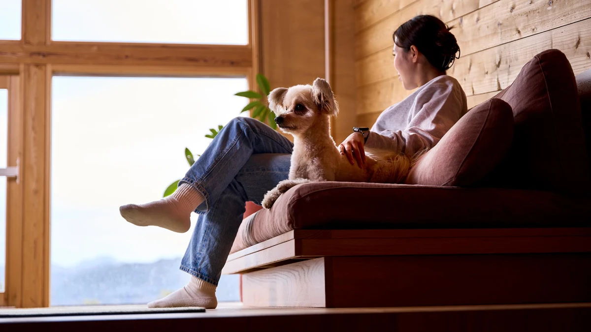 愛犬との滞在を快適にする、充実の設備と環境