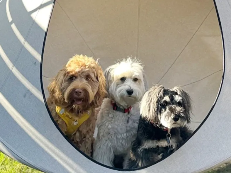 愛犬も一緒に過ごせるヴィラ