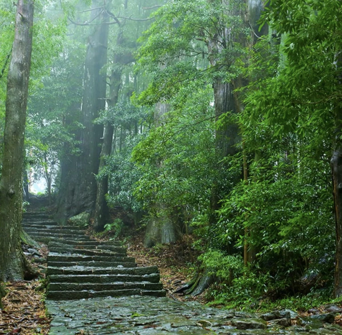 熊野古道