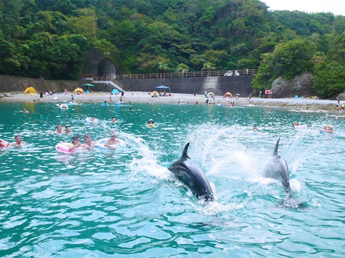 くじら浜海水浴場